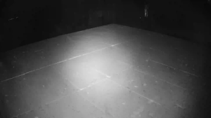 Caméra IP - Russian Federation