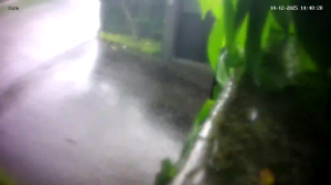 Caméra IP - Singapore