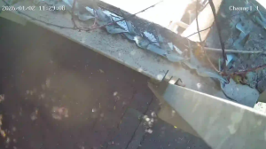 Caméra IP - South Africa