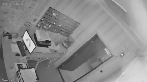 Caméra IP - Russian Federation