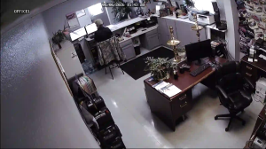 Caméra IP - États-Unis d'Amérique