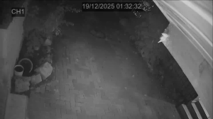 Caméra IP - Israël