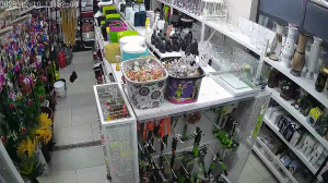 Caméra IP - Serbien