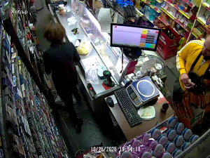 Caméra IP - Bulgaria