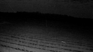 Caméra IP - Biélorussie