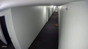 Caméra IP - États-Unis d'Amérique