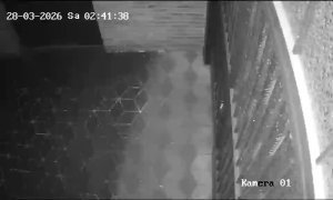 Caméra IP - Allemagne