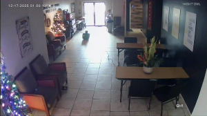 Caméra IP - États-Unis d'Amérique