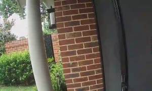 Caméra IP - Australie