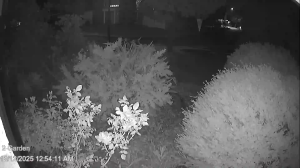 Caméra IP - Australia