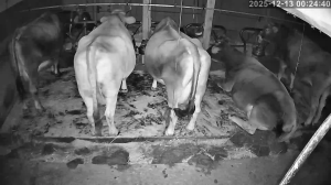 Caméra IP - Autriche