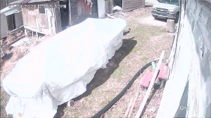 Caméra IP - United States of America