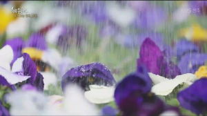 Caméra IP - República de Corea