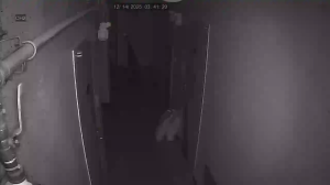 Caméra IP - Corée du Sud