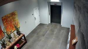 Caméra IP - United States of America