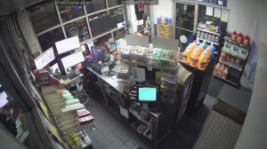 Caméra IP - United States of America