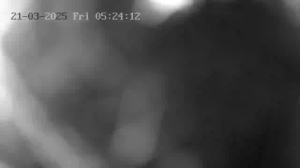 Caméra IP - Schweiz