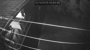 Caméra IP - Sudáfrica