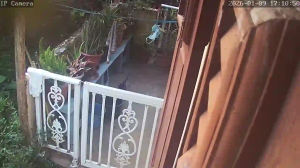 Caméra IP - Martinique