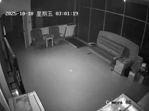 Caméra IP - China