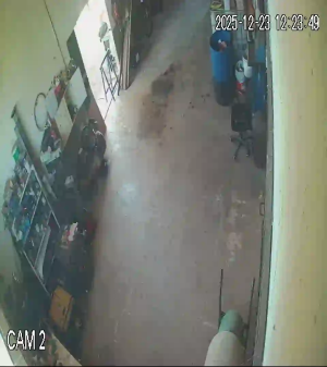 Caméra IP - Argentina