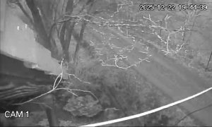 Caméra IP - Rumanía