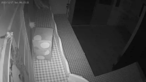 Caméra IP - Germany