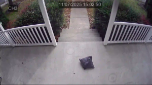 Caméra IP - États-Unis d'Amérique