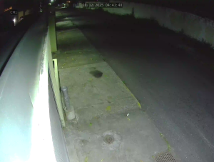 Caméra IP - Venezuela