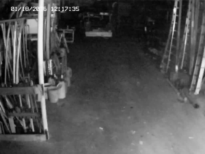 Caméra IP - United States of America