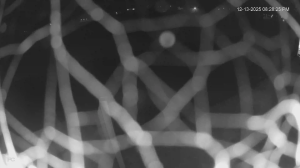 Caméra IP - États-Unis d'Amérique