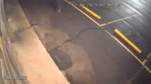 Caméra IP - United States of America