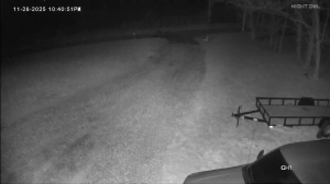 Caméra IP - Estados Unidos