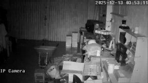 Caméra IP - Cambodia