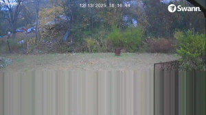 Caméra IP - Australia