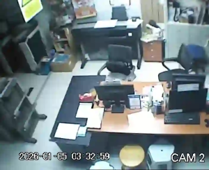 Caméra IP - Malaisie