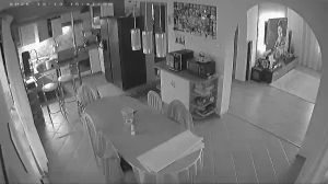 Caméra IP - Polonia