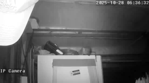 Caméra IP - Regno Unito