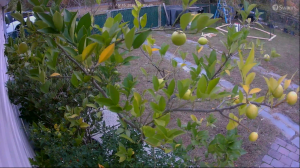 Caméra IP - États-Unis d'Amérique