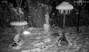 Caméra IP - Germany