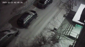 Caméra IP - Russian Federation