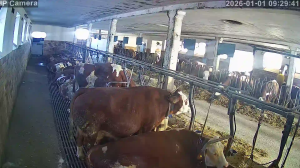 Caméra IP - Germany