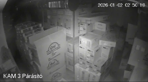 Caméra IP - Hungary