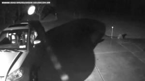 Caméra IP - United States of America