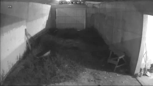 Caméra IP - Brésil