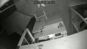 Caméra IP - Giappone