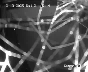 Caméra IP - Portugal