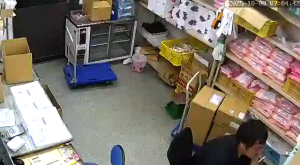 Caméra IP - Giappone