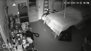 Caméra IP - Vereinigte Staaten von Amerika