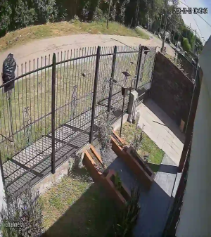 Caméra IP - Argentina